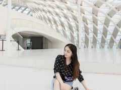 -凤凰中心