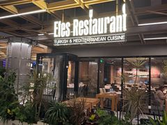 -Efes Turkish & Mediterranean Cuisine 艾菲斯餐厅(陆家嘴店)