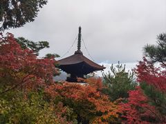 -常寂光寺