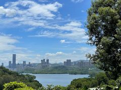 -深圳仙湖植物园