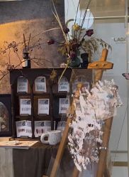 -鲸彩·美甲美睫科技护肤