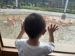 -太原动物园