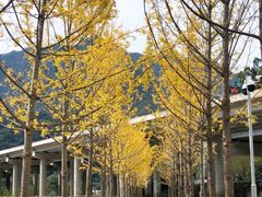 -秦岭风景区