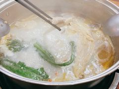 -15年老字号鑫鑫猪肚鸡·椰子鸡海南火锅(兴隆华侨农场店)