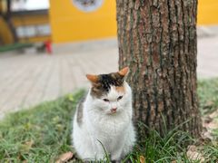 -西园戒幢律寺