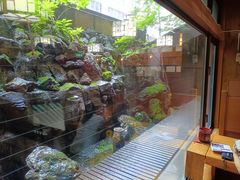 -蟹料理 北海道かに将軍(札幌本店)