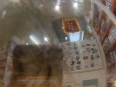 -瑞鹏宠物医院·微创内窥镜·骨外科·牙科(翠竹分院)