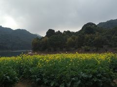 -广州市石门国家森林公园