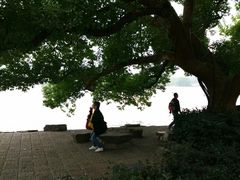 -苏堤停车场