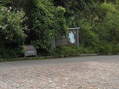 -苍山世界地质公园·石门关大峡谷