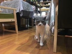 -董小姐咖妃·咖啡·简餐.意面(松江大学城店)