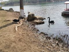 -河北省园博园