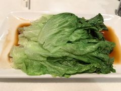 白灼罗马生菜-金鼎轩(亚运村店)