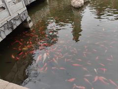 -红螺寺
