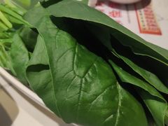 -海底捞火锅(勒泰店)