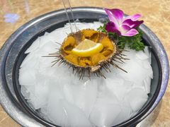 -老大连·海肠捞饭·大连海鲜大连菜(西安路店)