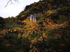 -青峰峡国家森林公园