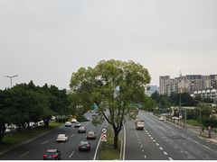 -姜胖胖无限自助烤肉(凯德天府店)
