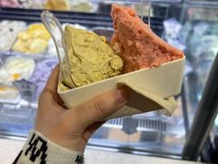 -野人先生现做冰淇淋(西安赛格店)