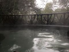 -宜春明月山维景国际温泉度假酒店