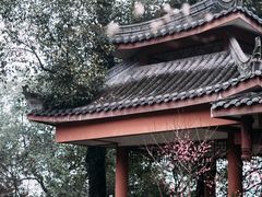 -南山植物园