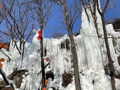 -沂蒙山旅游区云蒙景区(蒙山国家森林公园)