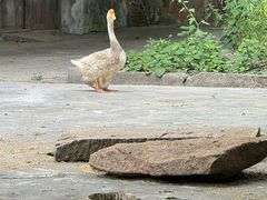 -长广溪湿地公园