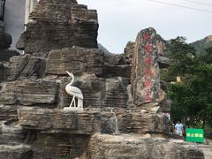 -大岭沟猕猴桃谷风景区