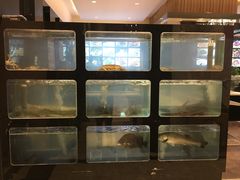 -斯通泰伯酒店-餐厅