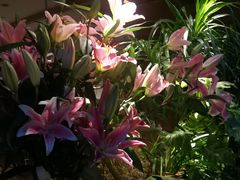 -春暖花开(西溪店)