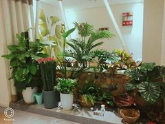-北里·4k影院式足疗SPA馆(观音桥店)