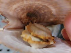 -前王院•巧克力海鲜市集餐厅(万平口店)