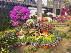 -惠山古镇·寄畅园