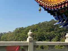 -东莞市大岭山森林公园