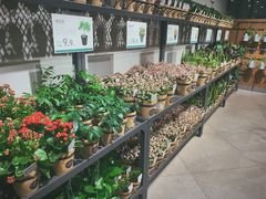 -鹿岛会员店 (龙湖三千集天街店)