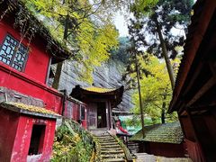 -青城山