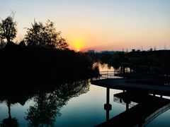 -白鹭湾湿地公园