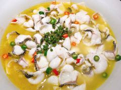 -青花椒花椒鱼(合生汇店)