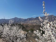 -白水寺森林公园