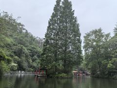 -桂林古东瀑布景区
