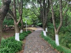 -白马涧龙池景区