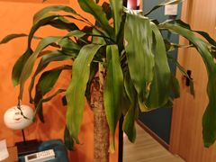 -Together·泰式按摩精油SPA(天山店)