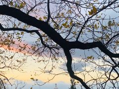 景点-景山公园