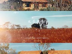 -良渚古城遗址公园