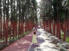 -上海长兴岛郊野公园