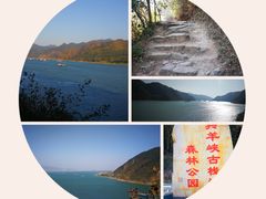 -羚羊峡古栈道森林公园