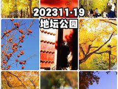 -地坛公园