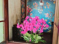 -馬蘭花開(车站大道店)