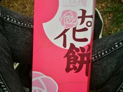 -鹅湖玫瑰文化园