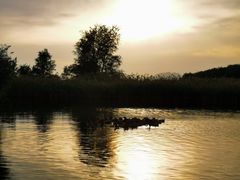 -野鸭湖国家湿地公园